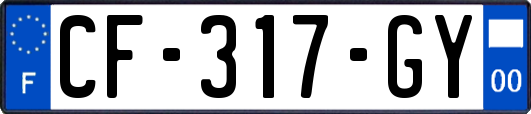 CF-317-GY
