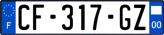 CF-317-GZ