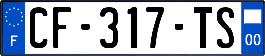 CF-317-TS