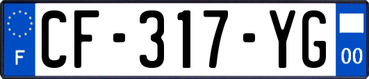 CF-317-YG