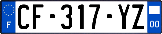 CF-317-YZ