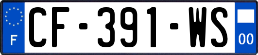 CF-391-WS