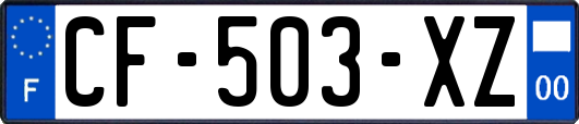 CF-503-XZ