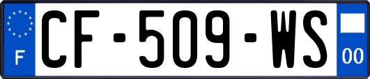 CF-509-WS