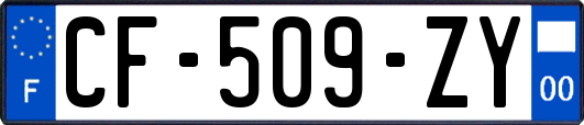 CF-509-ZY