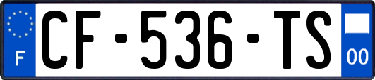 CF-536-TS