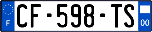 CF-598-TS