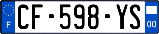 CF-598-YS
