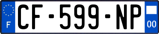 CF-599-NP