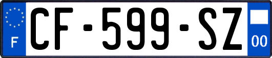 CF-599-SZ