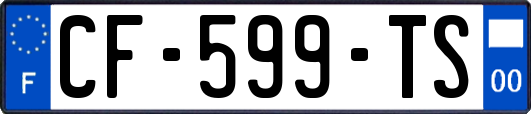 CF-599-TS