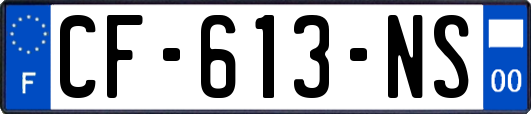 CF-613-NS