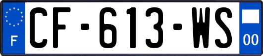 CF-613-WS