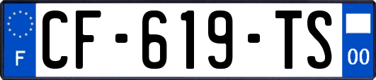 CF-619-TS