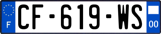 CF-619-WS