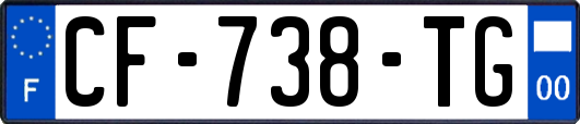 CF-738-TG