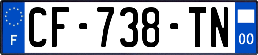 CF-738-TN