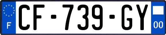 CF-739-GY