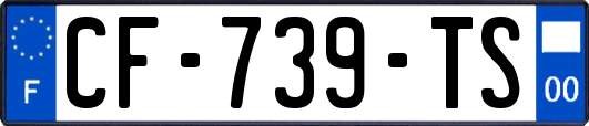 CF-739-TS