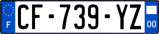 CF-739-YZ