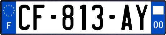 CF-813-AY