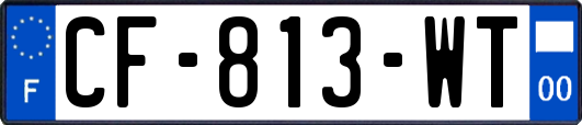 CF-813-WT