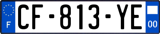 CF-813-YE