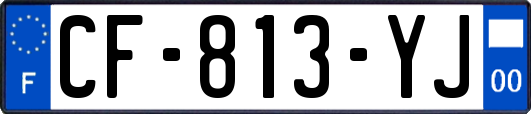 CF-813-YJ