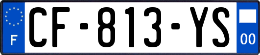 CF-813-YS