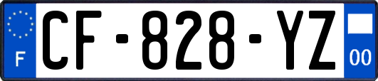 CF-828-YZ