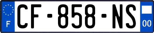 CF-858-NS