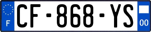 CF-868-YS