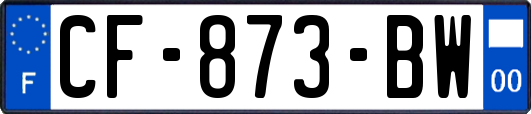 CF-873-BW