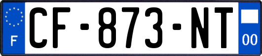 CF-873-NT