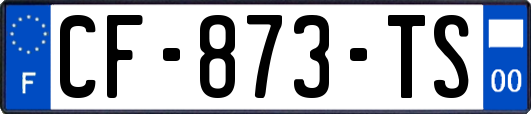 CF-873-TS