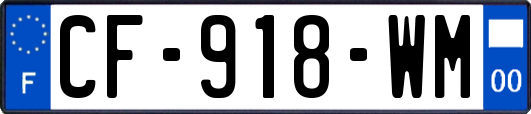 CF-918-WM