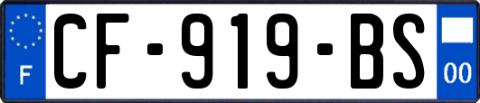 CF-919-BS