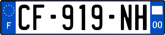 CF-919-NH