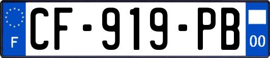 CF-919-PB