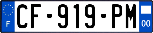 CF-919-PM