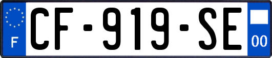 CF-919-SE