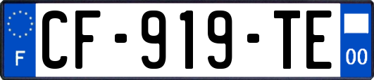 CF-919-TE