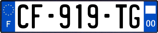 CF-919-TG