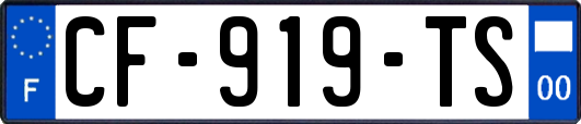 CF-919-TS