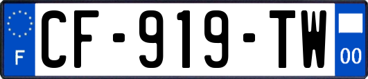 CF-919-TW