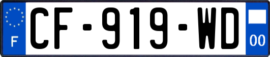 CF-919-WD