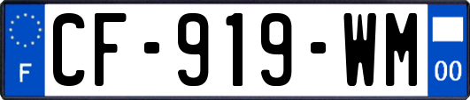 CF-919-WM