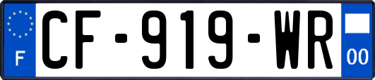 CF-919-WR