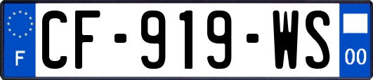 CF-919-WS