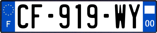 CF-919-WY